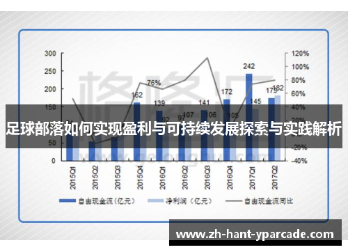 足球部落如何实现盈利与可持续发展探索与实践解析